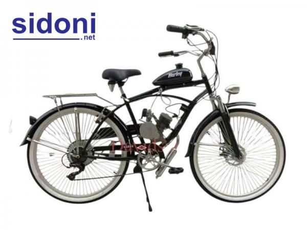 Xe đạp cổ điển gắn động cơ hai thì HL