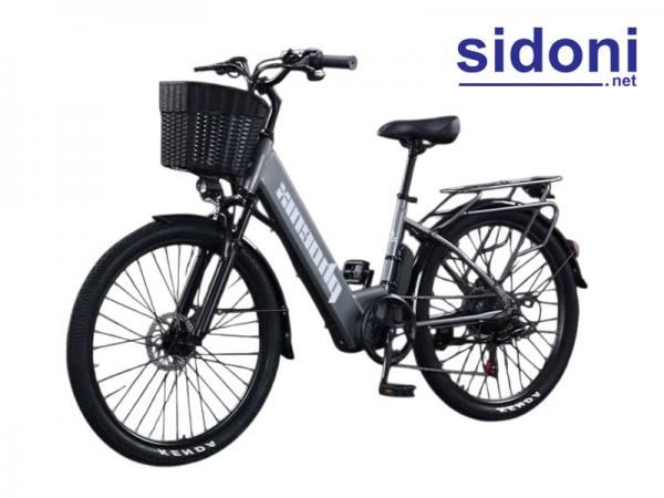 Xe đạp điện trợ lực Phoenix D2 15Ah