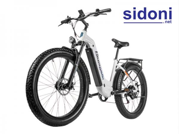 Xe đạp điện trợ lực Shengmilo MX06