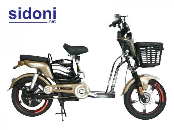 Xe đạp điện Vnbike X2 16inch đồng