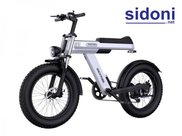Xe đạp trợ lực Quickwheel C9