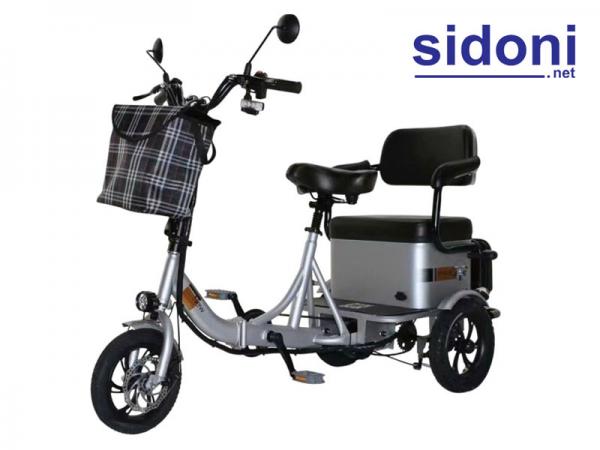 Xe điện 3 bánh trợ lực Smart M2