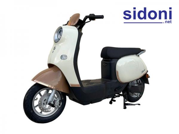 Xe điện Dibao Rosa kem nâu