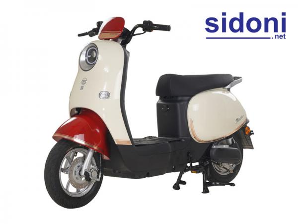 Xe điện Dibao Rosa