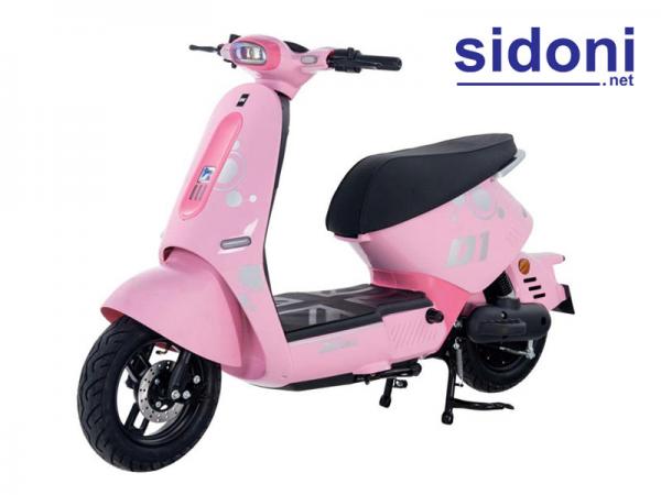 Xe điện DK D1