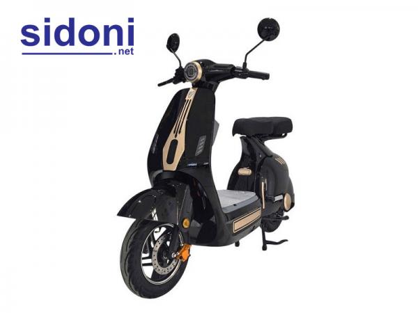 Xe điện Dylexe D1