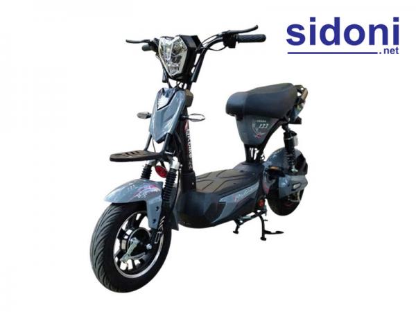 Xe điện Hkbike 133