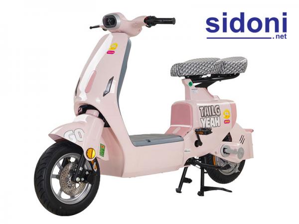 Xe điện TAILG GR55