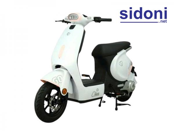 Xe điện TAILG GR56