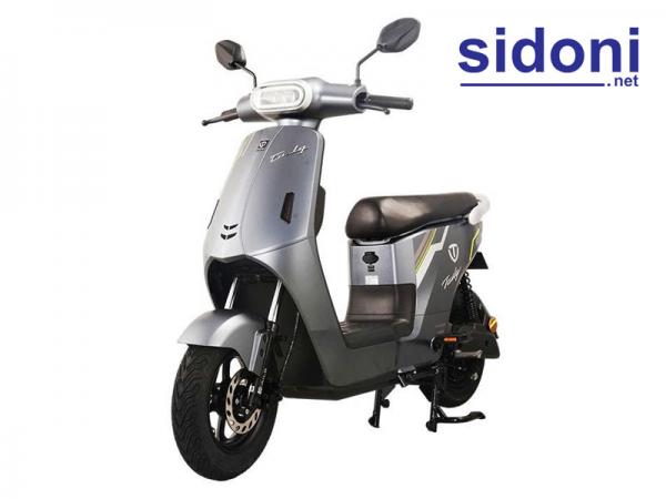 Xe điện TAILG GR57