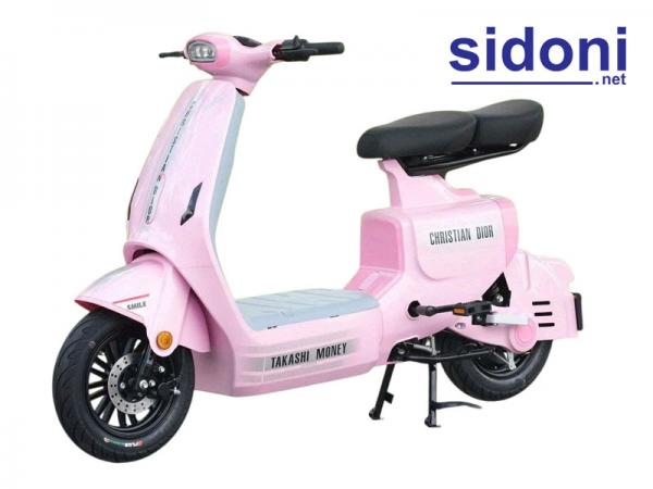 Xe điện Takashi Money