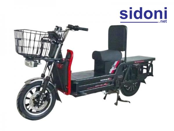 Xe máy điện chở hàng Smart M200