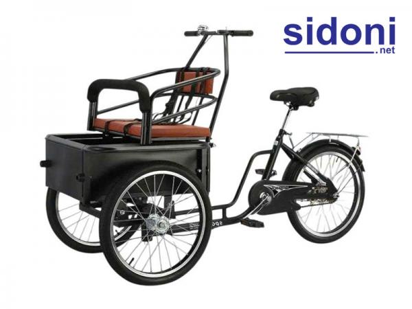 Xích lô chở trẻ em Smart X2