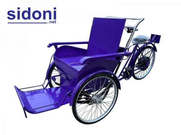 Xích lô điện chở khách du lịch EV C2