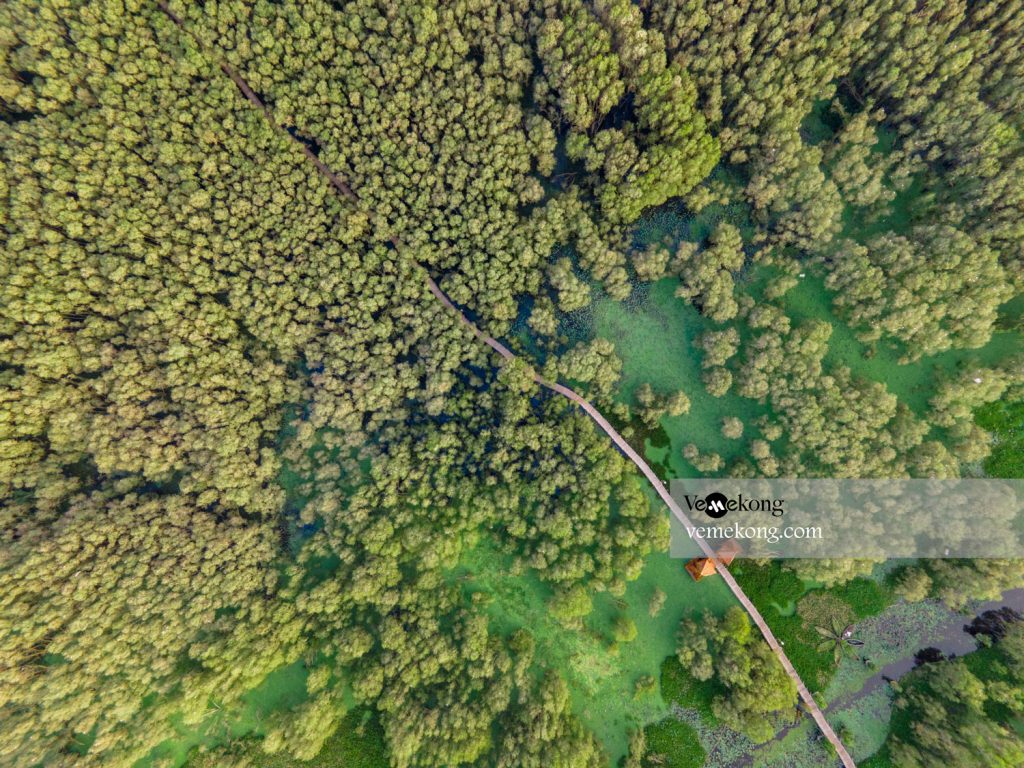 Cận cảnh cây cầu tre xuyên rừng dài nhất Việt Nam