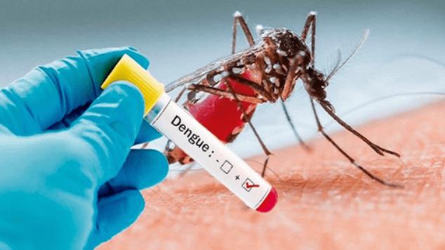 Sốt xuất huyết được gây ra bởi virus Dengue khi bị muỗi mang mầm bệnh đốt
