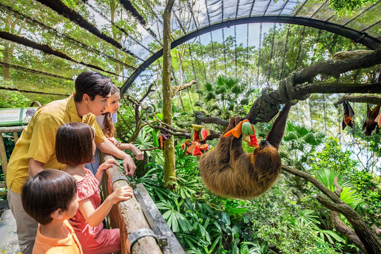 Singapore Zoo là ngôi nhà của gần 3000 động vật