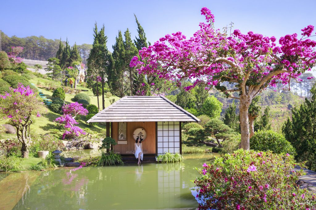 QUE Garden nổi tiếng với hồ cá Koi rộng lớn cùng vườn bonsai nghệ thuật