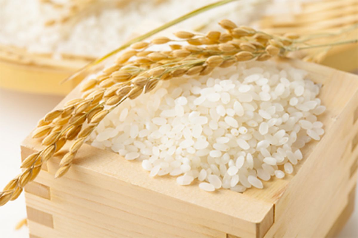 Mỗi loại gạo có những đặc tính riêng biệt