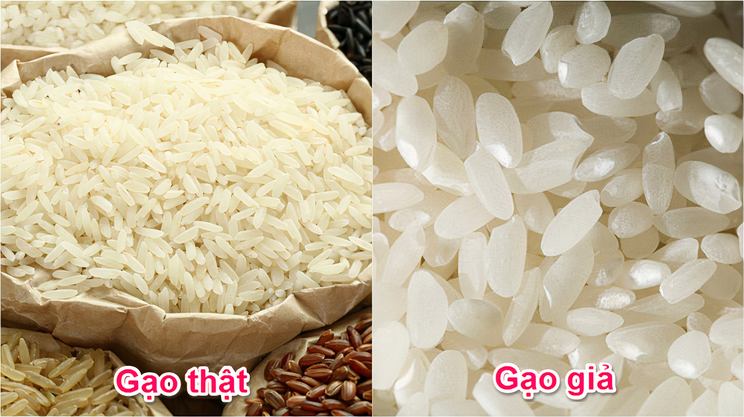 Nếu gạo trắng đẹp hoàn hảo, có thể hạt đã bị tẩm hóa chất