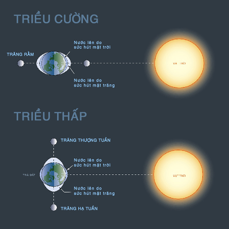 Giải thích tại sao khi Mặt Trời Trái Đất và Mặt Trăng thẳng hàng sẽ xảy ra  triều cường