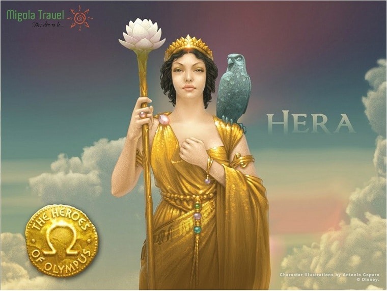 2 loài vật thiêng liêng tượng trưng cho nữ thần Hera là bò cái và chim công