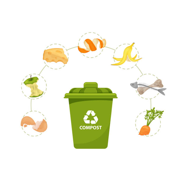 Tận dụng rác hữu cơ bằng cách tái chế thành phân compost