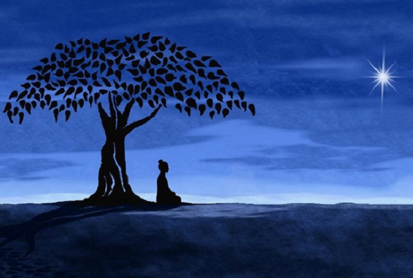 Đức Phật đã giác ngộ ra chân lý khi ngồi dưới gốc cây Bồ Đề