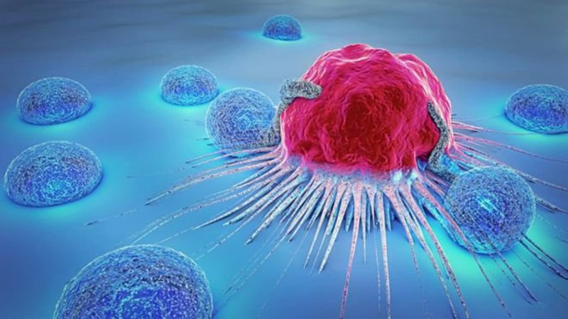 Ung thư có thể xuất hiện hầu hết ở bất kỳ đâu trong một ngàn tỷ tế bào của cơ thể