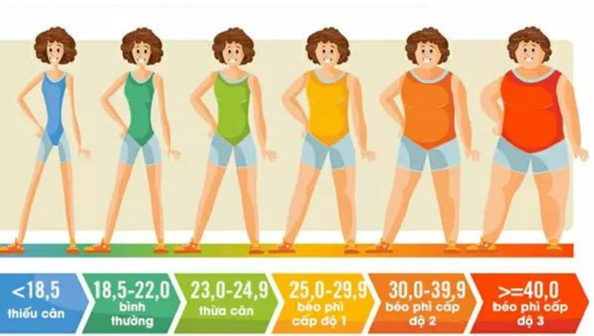 Các mức độ tỉ lệ cơ thể tính theo chỉ số BMI