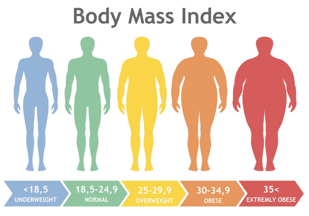 Nếu BMI dưới 18,5, bạn đang thiếu cân