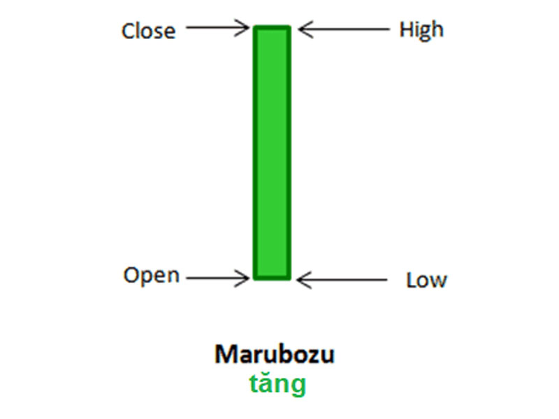 Ảnh minh họa hình nến Marubozu tăng