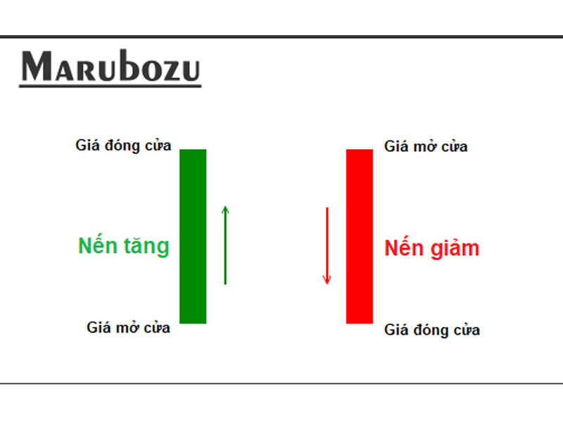 Mô hình nến Marubozu được chia thành 2 loại cơ bản