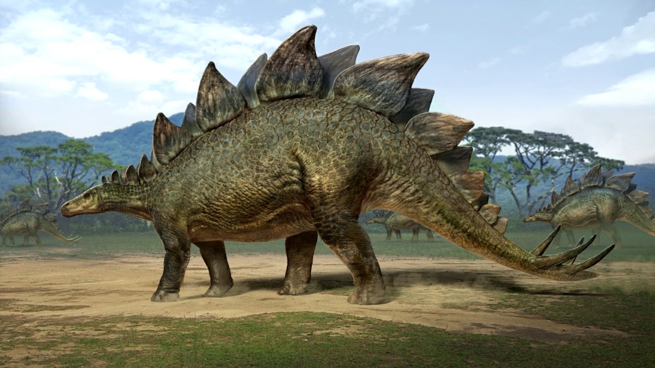Mặc dù Stegosaurus kém thông minh nhưng lại cực kỳ nguy hiểm