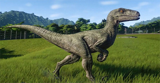 Velociraptor thường săn mồi theo bầy đàn