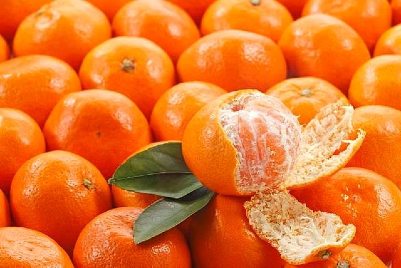 Vỏ quýt có chứa tinh dầu thơm gồm Gluccoxit Orange, Aldehit Lemon, Axit béo