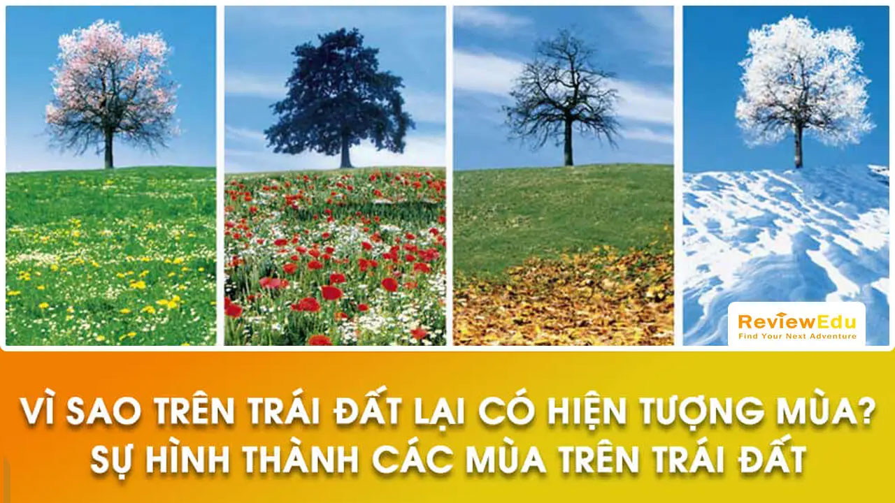 Nguyên nhân hình thành từng mùa