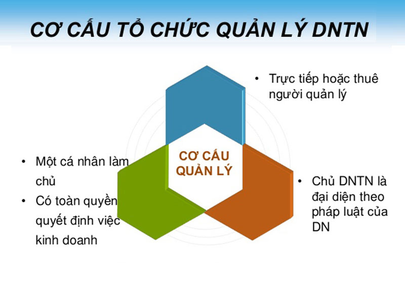 Cấu trúc của doanh nghiệp tư nhân