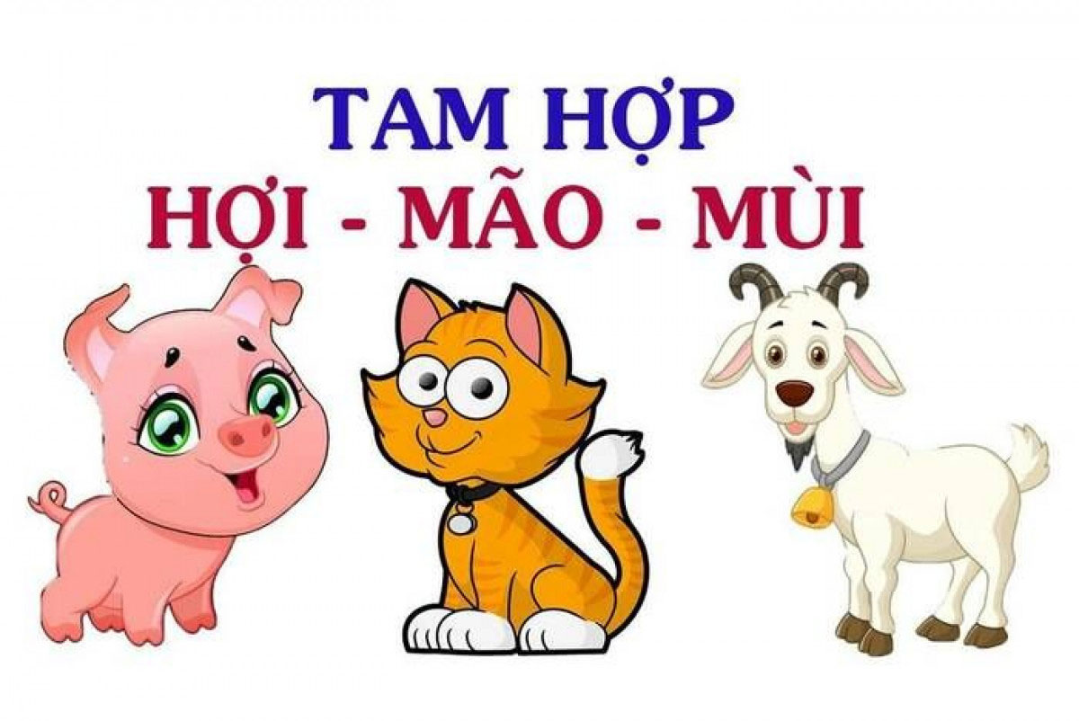 Tam hợp là gì? Sự khác biệt giữa tam hợp và tứ hành xung