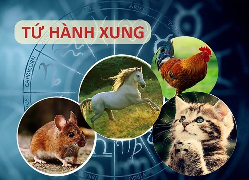 Tứ hành xung là gì? Các nhóm tứ hành xung