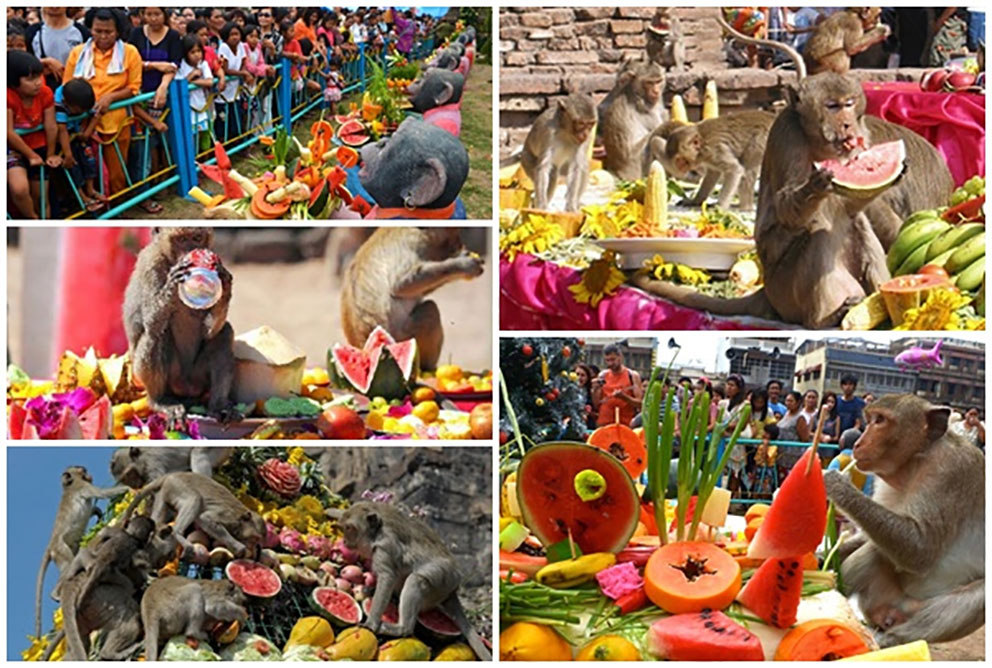 Phương tiện di chuyển giúp bạn tới Lopburi tham gia lễ hội