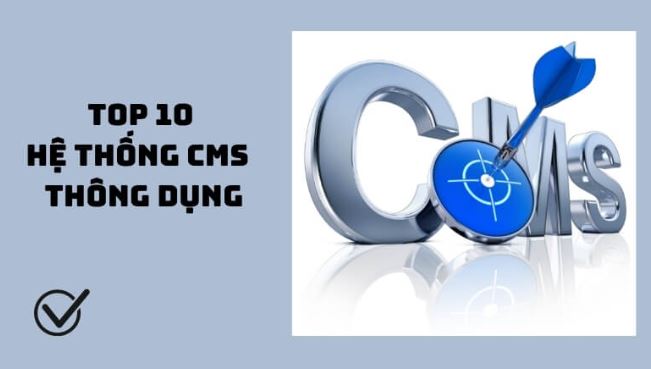 Có thể kể đến một vài hệ thống thông dụng sau đây: SMS WordPress, CMS Joomla!, CMS Drupal, CMS Refinery, CMS Magento, CMS OpenCart, CMS TYPO3,….