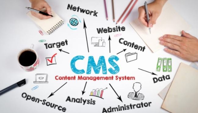 CMS là một phần mềm máy tính được sử dụng để quản lý việc chỉnh sửa nội dung và sáng tạo của website