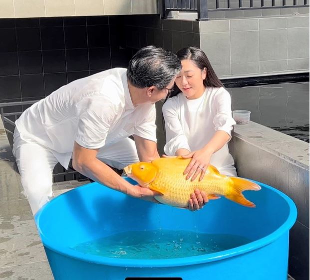 Doanh nhân Ngô Văn Thắng - Vua cá Koi