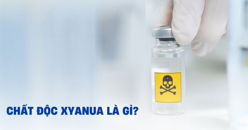 Chất độc Xyanua nghĩa là gì?