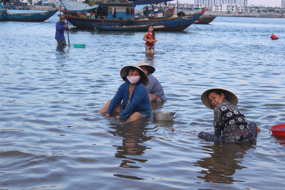 Nghề đánh bắt chíp chíp từ lâu đã gắn bó với ngư dân Đà Nẵng