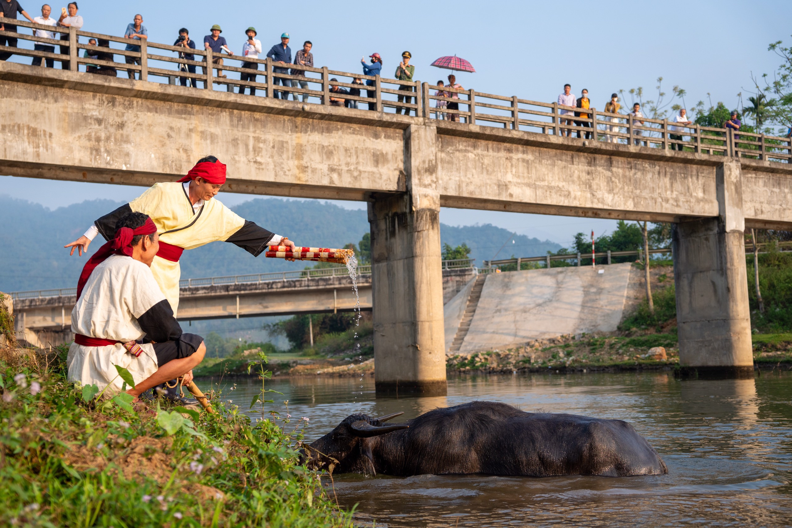 Nghi thức tắm trâu trong lễ hội Đền Chín Gian