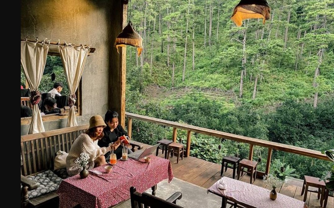 Nhâm nhi cafe tại Đà Lạt bên cạnh view rừng thông lãng mạn
