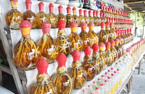 Rượu cá ngựa khô nhân sâm rất bổ dưỡng và được nhiều người ưa chuộng