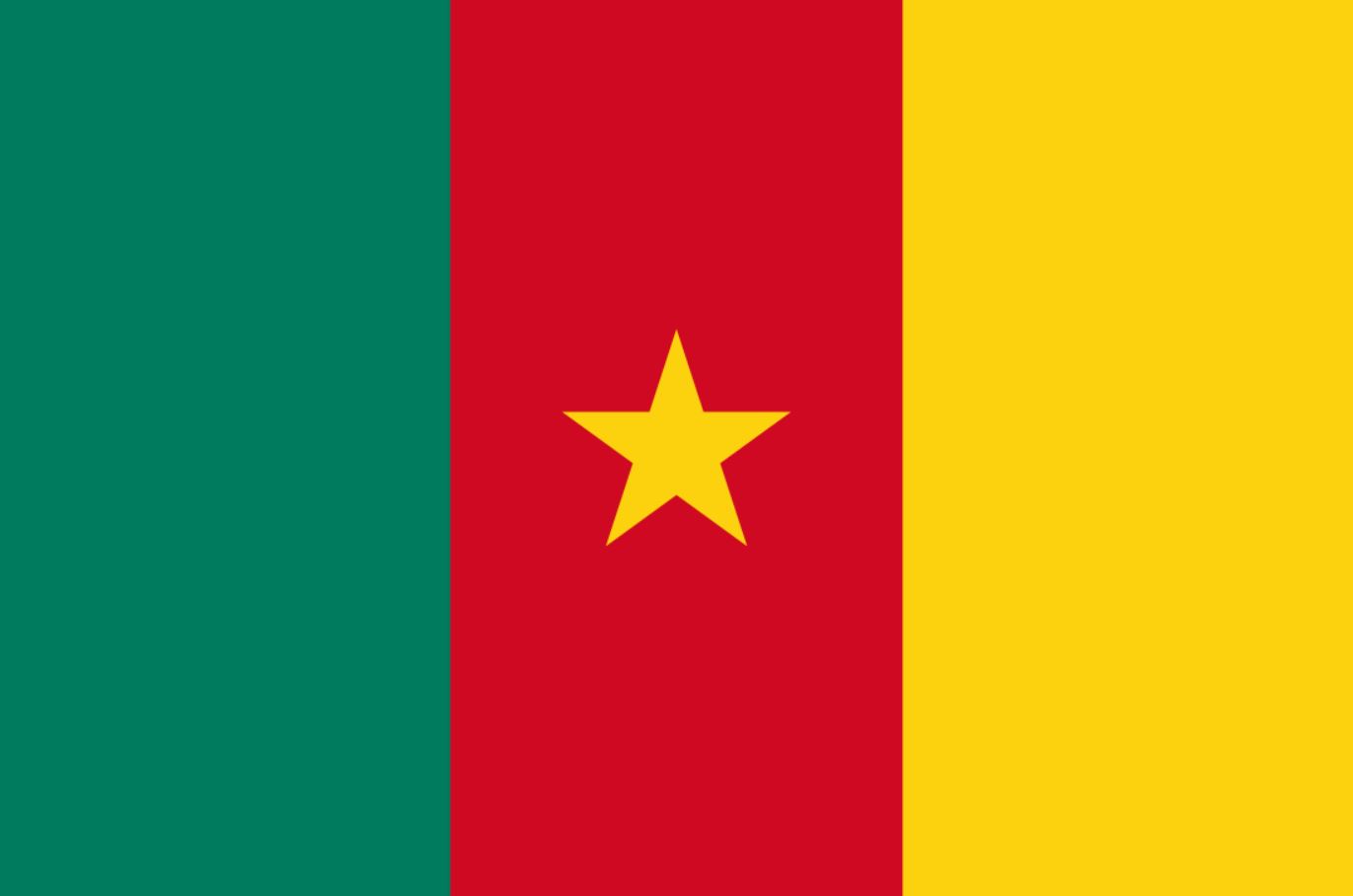 Ý nghĩa quốc kỳ Cameroon thể hiện sự đoàn kết dân tộc và thống nhất lãnh thổ